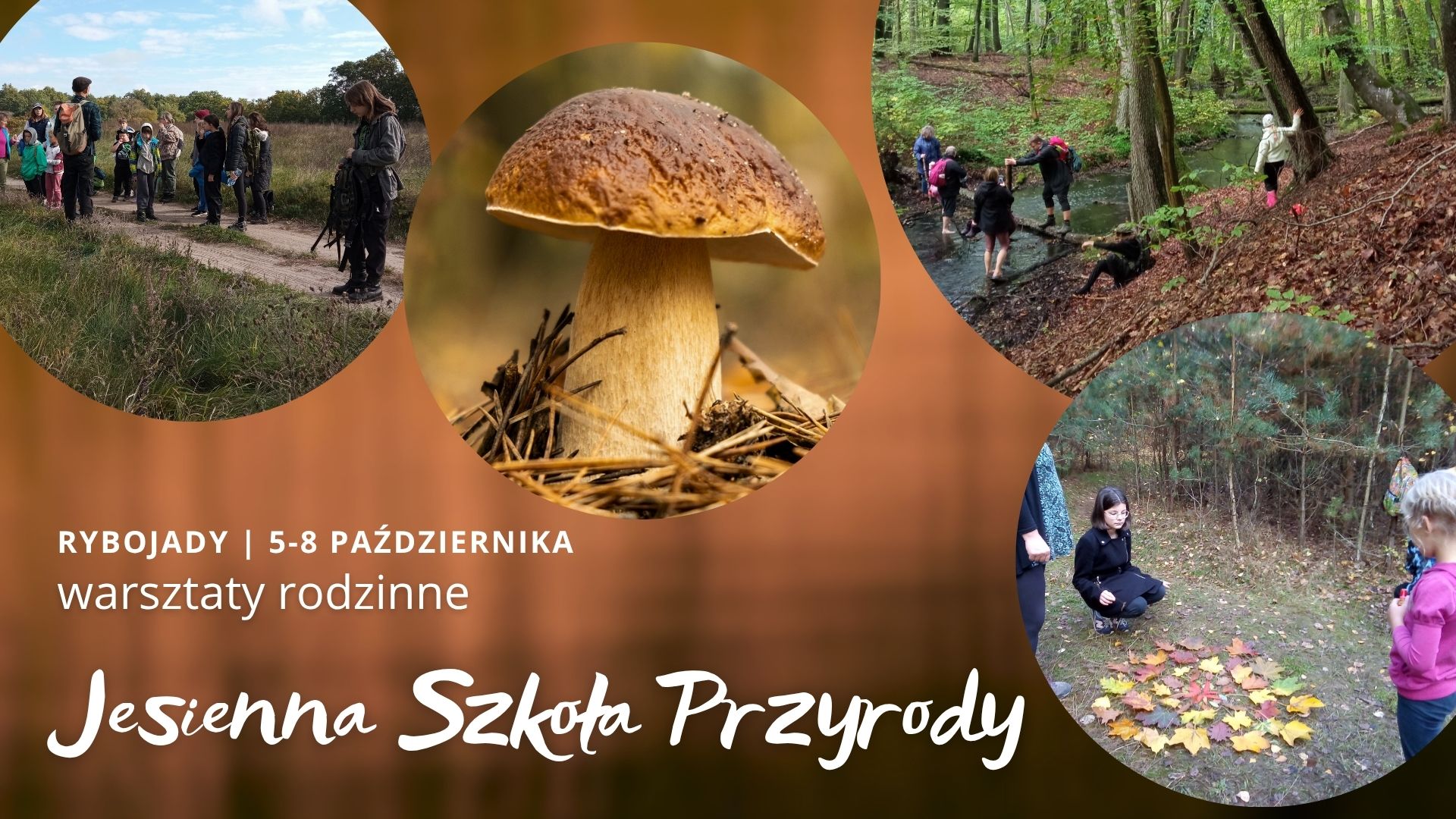 Jesienna szkoła przyrody