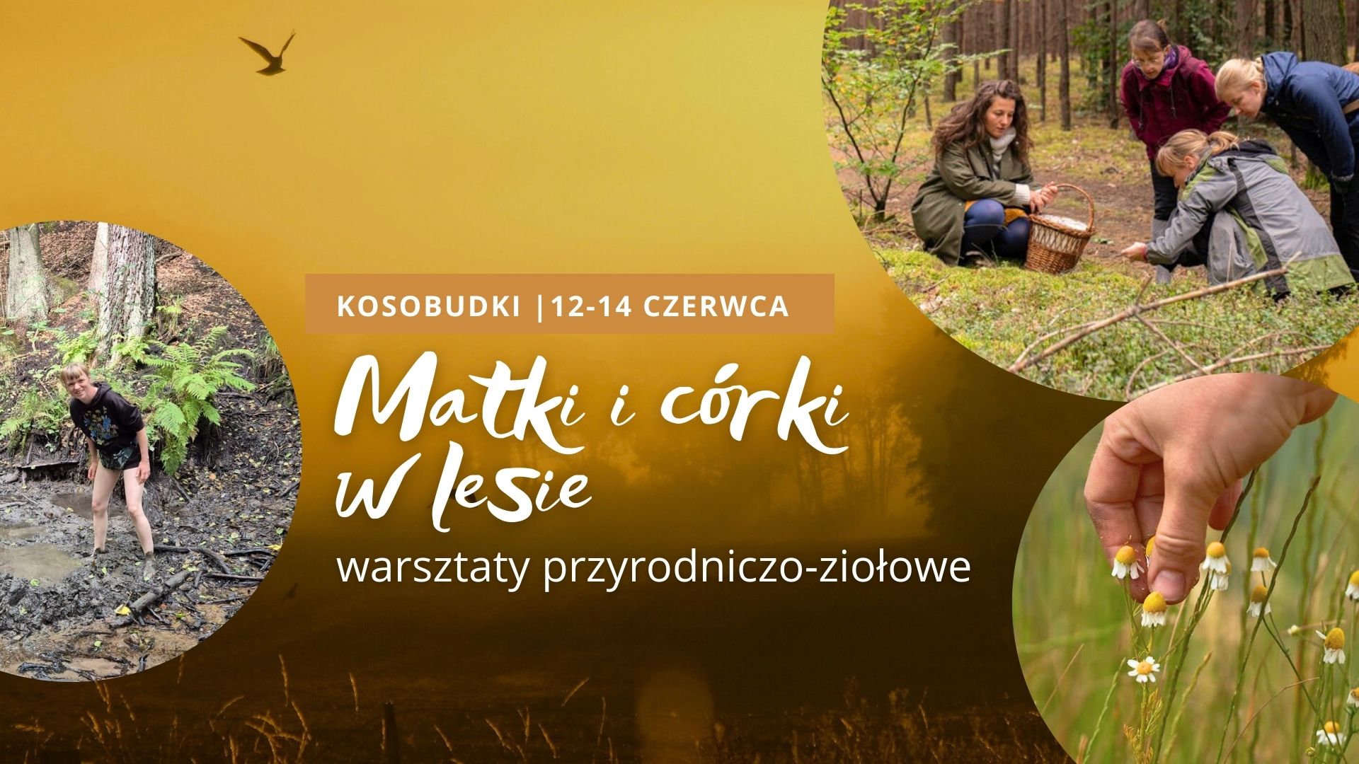Matki i córki w lesie